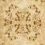 Burl